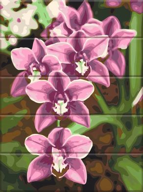 Купить Цветы на картине по номерам на деревянной основе Розовые орхидеи  в Украине
