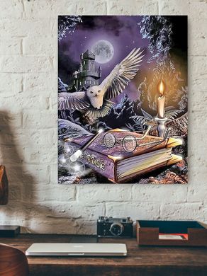 Купити Магічні книги Гаррі Поттера Алмазна вишивка Квадратні стрази 40х50 см  в Україні