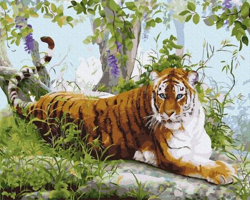 Купити Амурський тигр. Цифрова картина за номерами (без коробки)  в Україні