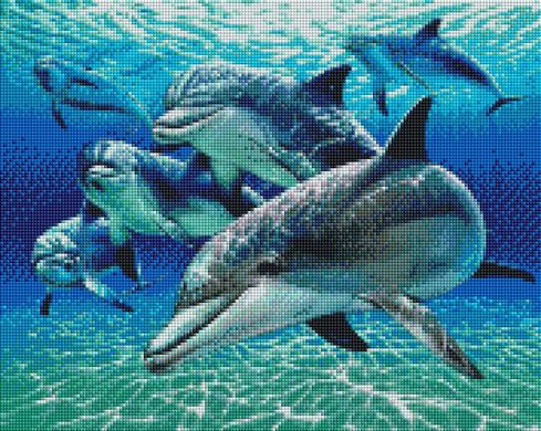 Купити Алмазна мозаїка на підрамнику з круглими камінчиками Дельфіни  в Україні
