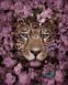 Леопард у квітах Картина за номерами (без коробки), Без коробки, 40 х 50 см