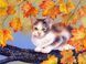 Алмазная вышивка Котенок на ветке, Нет