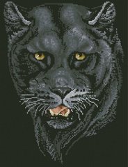 Купить Набор для алмазной вышивки Дрим Арт Черная пантера  в Украине