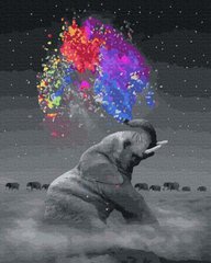 Купити Грайливий слон Цифрова картина за номерами (без коробки)  в Україні
