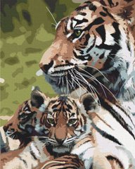 Купити Цифрова картина за номерами Семья тигров  в Україні