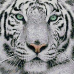 Купить Белый тигр Алмазная вышивка детская Квадратные камни 40х40 см  в Украине