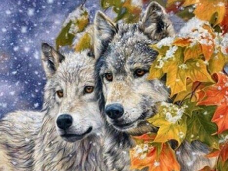 Купить Волк и волчица Алмазная мозаика На подрамнике 40 на 50 см  в Украине