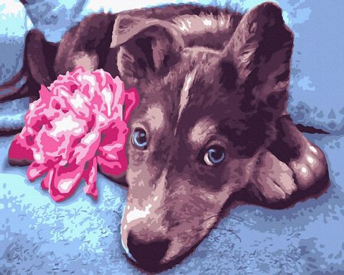 Купити Малювання картин за номерами (без коробки) Пес із квіткою  в Україні