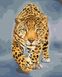 Грація леопарда Цифрова картина за номерами (без коробки), Без коробки, 40 х 50 см