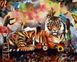 Величественный тигр Картина антистрес за номерами на підрамнику, Без коробки, 40 х 50 см