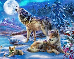 Купить Стая волков зимой 40х50 см Набор алмазной мозаики  в Украине