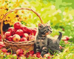 Купить Яблочный котик Роспись картин по номерам (без коробки)  в Украине