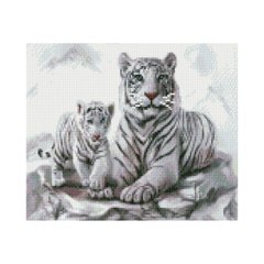 Купити Білі тигри Діамантова вишивка на підрамнику круглими камінчиками  в Україні