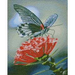 Купити Метелик на квіточці Діамантова мозаїка 40х50 см  в Україні