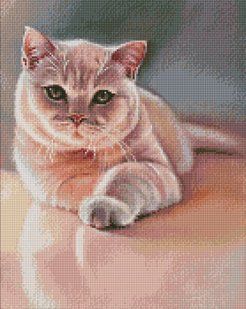 Купити Улюблений пухнастик &copy;Юлія Томеско Мозаїчна картина за номерами 40х50 см  в Україні