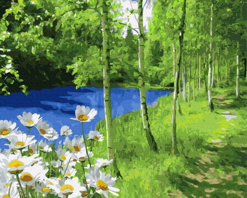 Купити Набір для розфарбовування картини по цифрам без коробки Ромашки біля лісового озера  в Україні