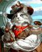 Капітан-кіт Полотно для малювання по цифрам, Подарункова коробка, 40 х 50 см